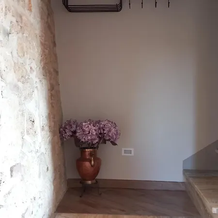 Il Giardino Nascosto * צ'טונה